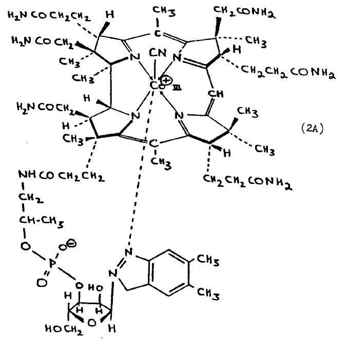 vitamin b12 cyanocobalamin